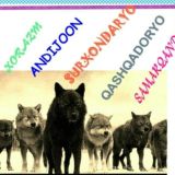 DenoVLikLar 🇺🇿 🇺🇿 🇺🇿 🇺🇿 🇺🇿