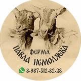 ПАВЕЛ НЕМОЛЯЕВ