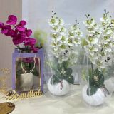 Гузал гуллар🌹 цветы люкс качества