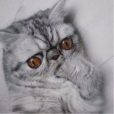 Ананасовый клуб заебашек