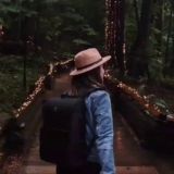 پـونِه‌سَـبز