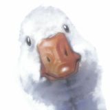 Гусь бот Кусь бот