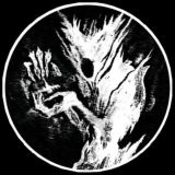 𝙒𝘽:𝗦𝙝𝙖𝗿𝗸𝗸