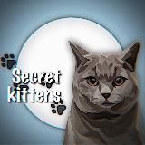 🍀𝗠𝗢𝗟𝗟𝗬.𝗟𝗜𝗙𝗘🍄