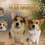 🐶CLAN IRONHORN🐶 corgi🐶корги🐶