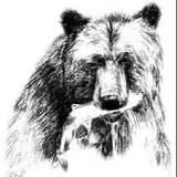 Сахалинские истории.