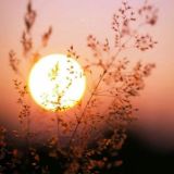 🍂 نبع الصور 🍂