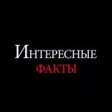 Интересные факты