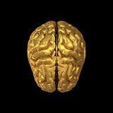 БРЕЙНХАКЕР | Виктор Рублев