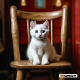 Кошкин Дом 🐈