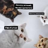 Оксана, мы всё прочитали [18+]