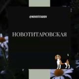 Новотитаровская Станица Краснодар Знакомства Чат Общение Познакомиться Нетворкинг Клуб Эмоция Группа Барахолка Реклама Объявлени