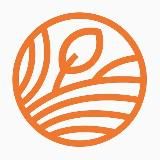 Betalife — рассеянный склероз и оптиконевромиелит. Полезные советы и статьи от медэкспертов