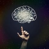 Интересные факты💡