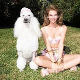 Клошар Гелюкс