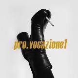 Pro.vocazione