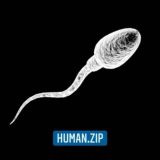 HUMAN.ZIP