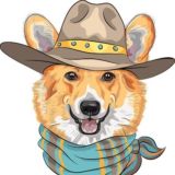 STRIPS CARDER / CHAT