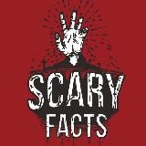 Жуткие Факты 😱