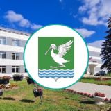 Администрация Селивановского муниципального округа