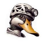 Промальп Ньюс