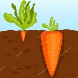 Деньги vs Мышление