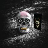 --------------《Datsent》■♤👌👌👌👌👌👌