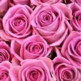 Flory Tale Цветочный бутик