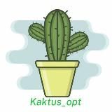 KAKTUS_OPT