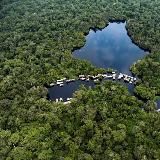 Stoppt den Ökozid! Kongo-Becken erhalten! ❤️‍🔥 Stop the ecocide! Preserve the Congo Basin! ✊