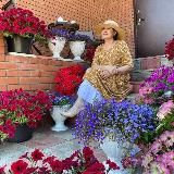 Ленивый огород, цветущий сад и любимый дом.