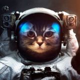 Научная изнанка ЧАТ