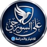 علي السورجي | شبكة السورجي التعليمية