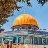 افراح وورود🦋✨