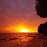 MichaelaT📷Photo🌿