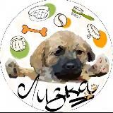 ☻︎лежанка лизки☻︎