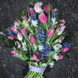 💐𝐀𝐧𝐭𝐢𝐬𝐜𝐚𝐦+ 𝐂𝐡𝐚𝐭💐