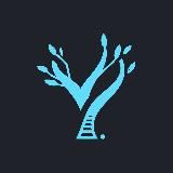 React Frontend | YeaHub