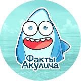 Факты Акулича