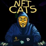 NftCats