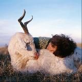 мои любимые картинки 💌