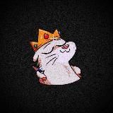 GEMOR life😮‍💨