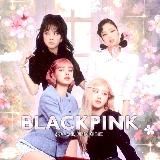 BLACKPINK | YG | BLΛƆKPIИK