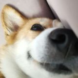 Отзывы о покупках❣️