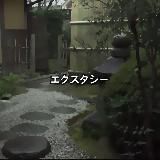 (закрыто) エクスタシー