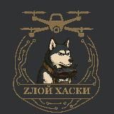 Zлой Хаски