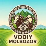 Водий Молбозори 🇺🇿