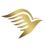 菜鸟VPN 永久免费 中文群