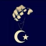 ✺┄┅╬ Ƙօϲhɑ ՏíՏԵҽʍɑ ╬┅┄✺