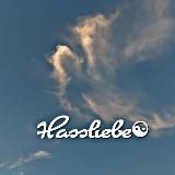 Hassliebe♥️️🔐